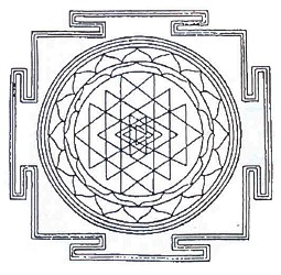 vortex water education 2