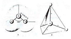 vortex water education 9