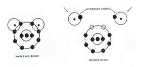 vortex water education 10