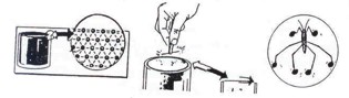 vortex water education 19