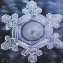 vortex water form