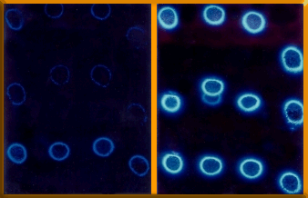 kirlian before and after