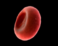 blood cell vortex water