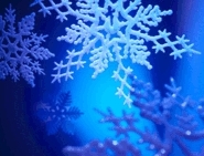 Vortex Snowflake