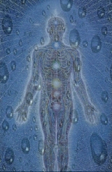 alex grey