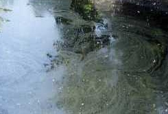 vortex_pollution