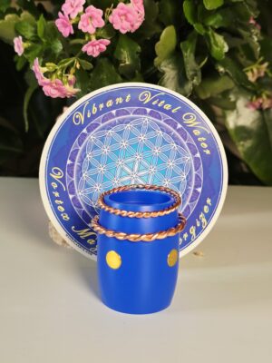 Vortex Magnetic Energizer (VME) 4-Way Magnetic Array