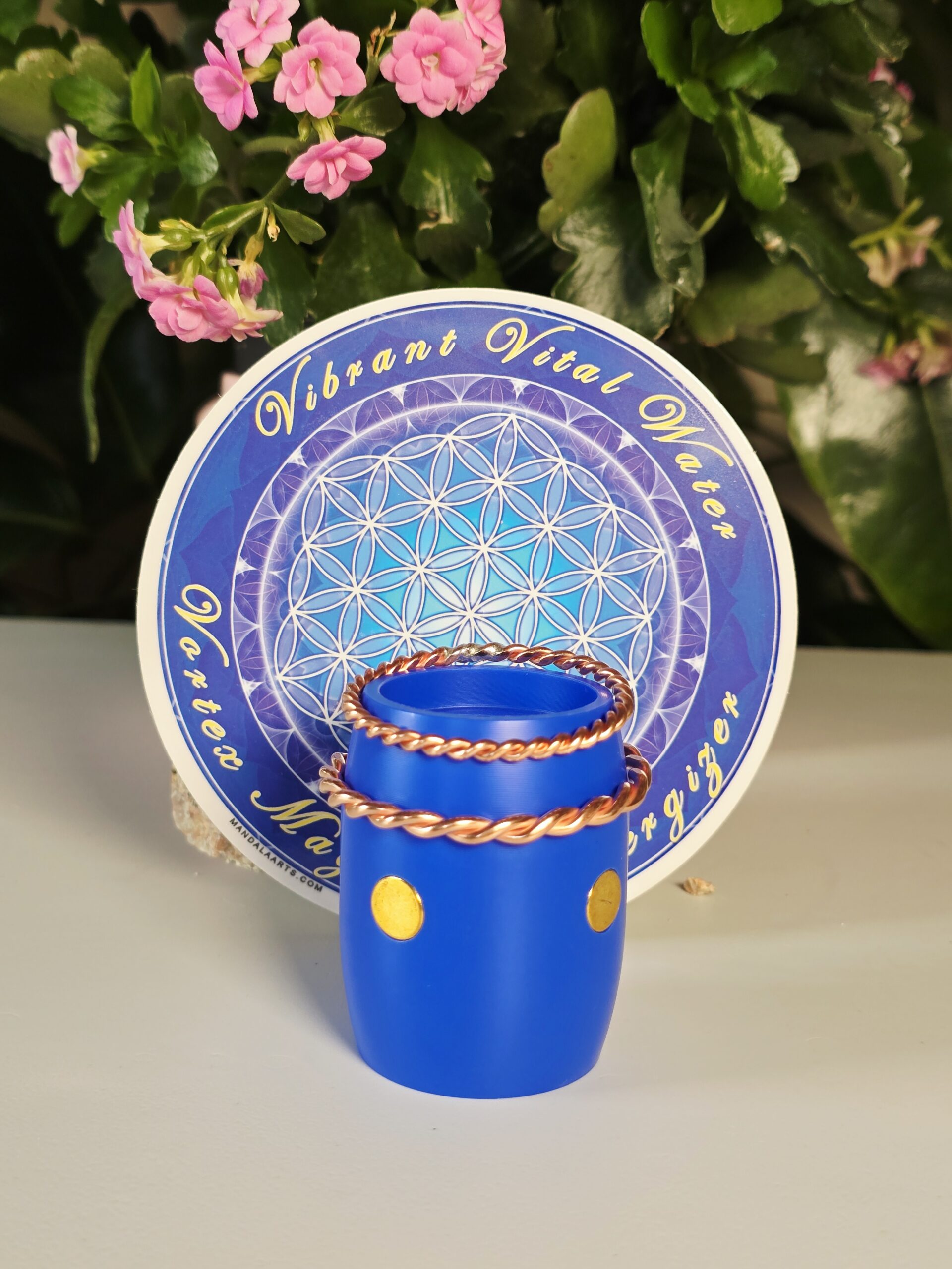 Vortex Magnetic Energizer (VME) 4-Way Magnetic Array