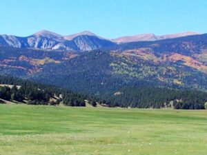 Moonlight Pines Full Pay Private Rooms for Retreat #2 – September 20–26