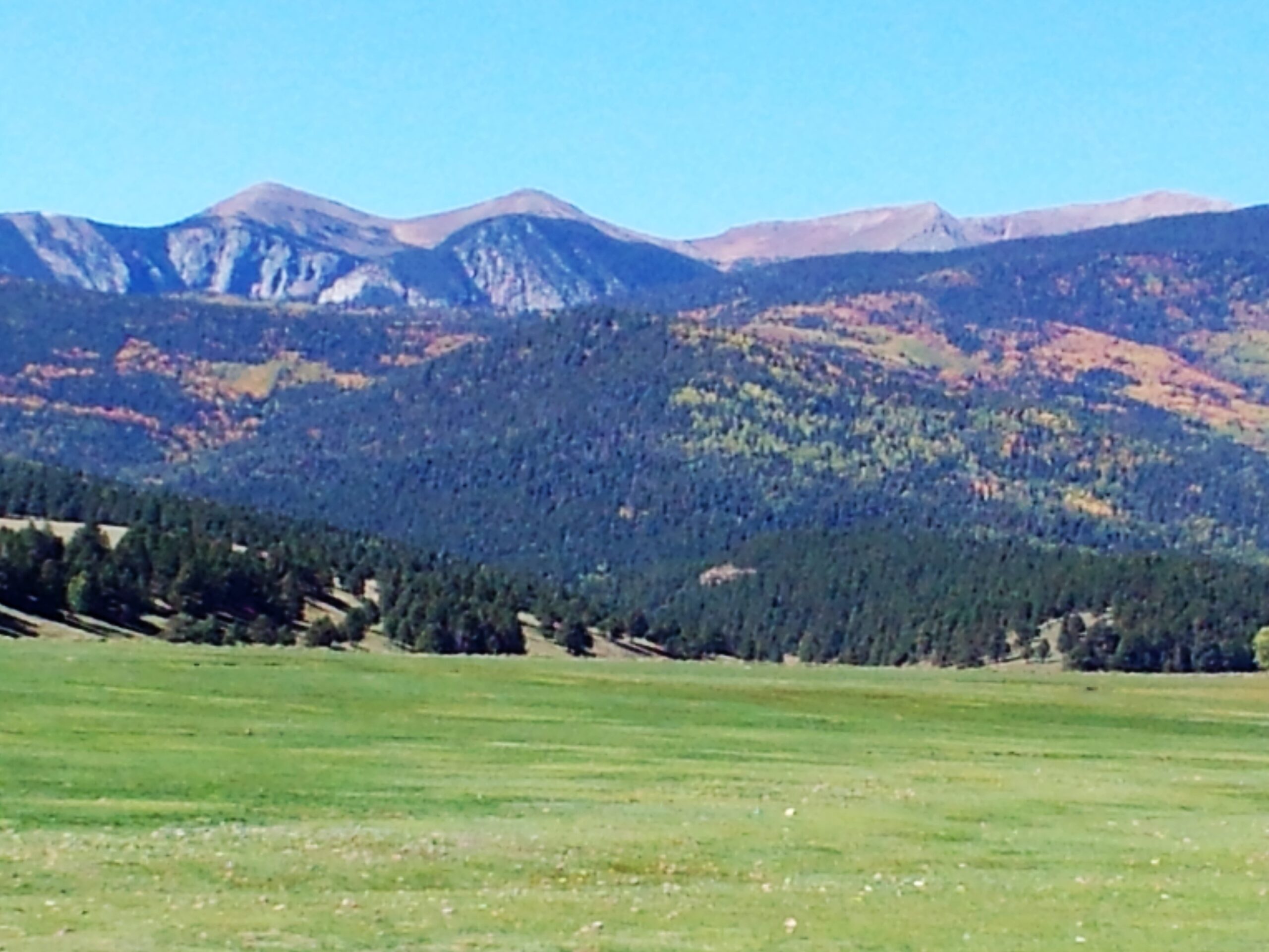 Moonlight Pines Full Pay Private Rooms for Retreat #2 – September 20–26